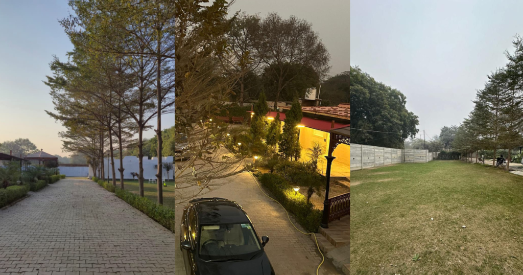 Birthday Party Venues