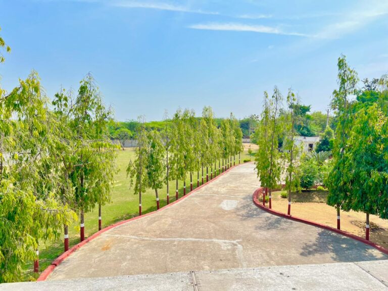 chattarpur farmhouse for party